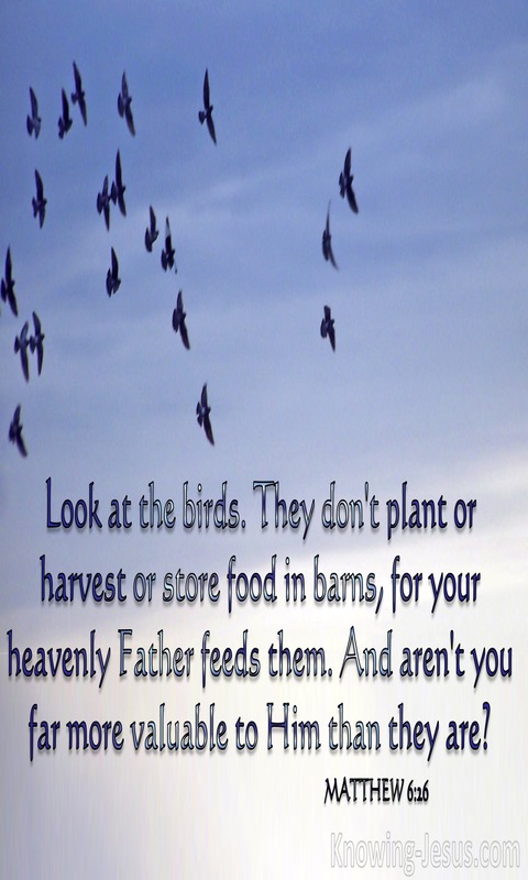 Matthew 6:26 Look At The Birds Of The Air (white)